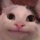 1977379882