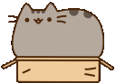 :apusheenbox: