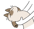 :azuki16: :azuki16:
