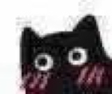 :11118: :11118: