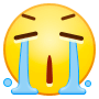 :bd19: :bd19: