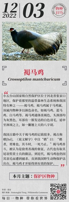 Media source: https://wx4.sinaimg.cn/large/6f0a8a65ly1h8qpvm3t5hj20ku1p4dqj.jpg