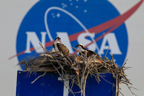 Media source: https://www.nasa.gov/wp-content/uploads/2023/08/ksc-20230607-ph-jbs01_0025orig.jpg