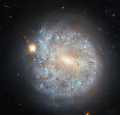 Media source: https://www.nasa.gov/wp-content/uploads/2025/03/hubble-ngc4900-potw2510a.jpg