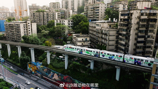 Media source: https://wx4.sinaimg.cn/large/007mWXeagy1i0js8i36dkj32rh1jy4qr.jpg