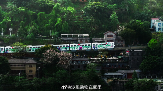 Media source: https://wx4.sinaimg.cn/large/007mWXeagy1i0js8ke8s5j32yo1o0npe.jpg