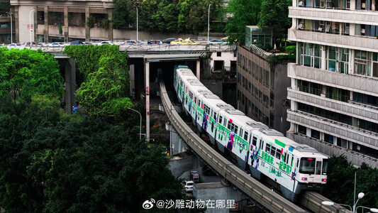 Media source: https://wx4.sinaimg.cn/large/007mWXeagy1i0js8qfel7j32yo1o0e83.jpg