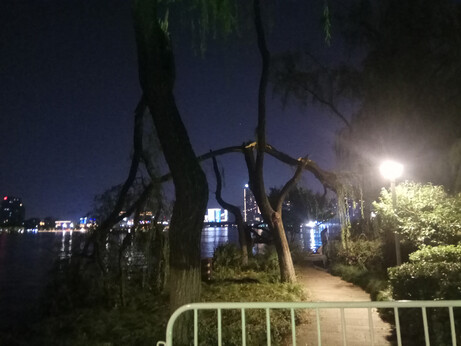 大风吹断了一些树